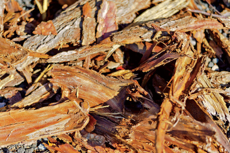 TT-Hauling-Mulch-04-768x511
